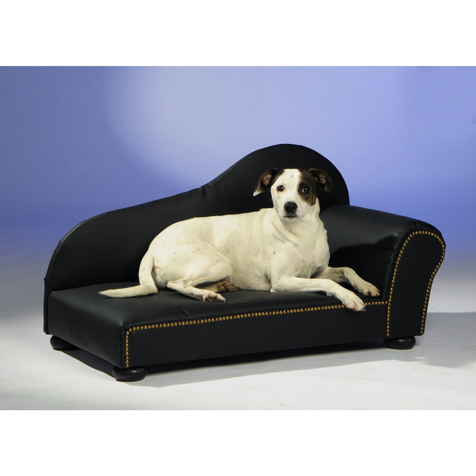 Silvio Design Heimtierottomane in Lederoptik, B 75 x T 39 cm | 04260056093517