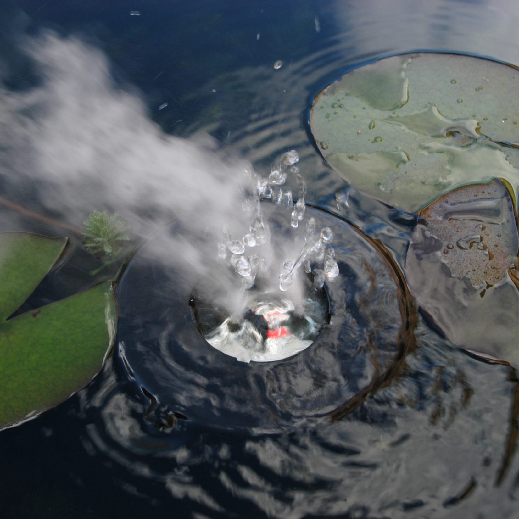 Teichnebler "Mystmaker III" - Bild 1