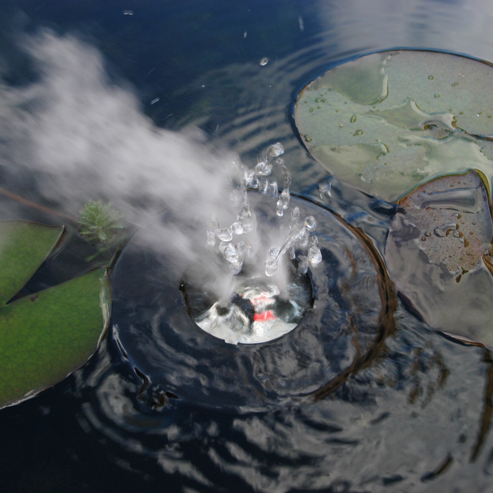 Teichnebler „Mystmaker III“ | 08711465870900