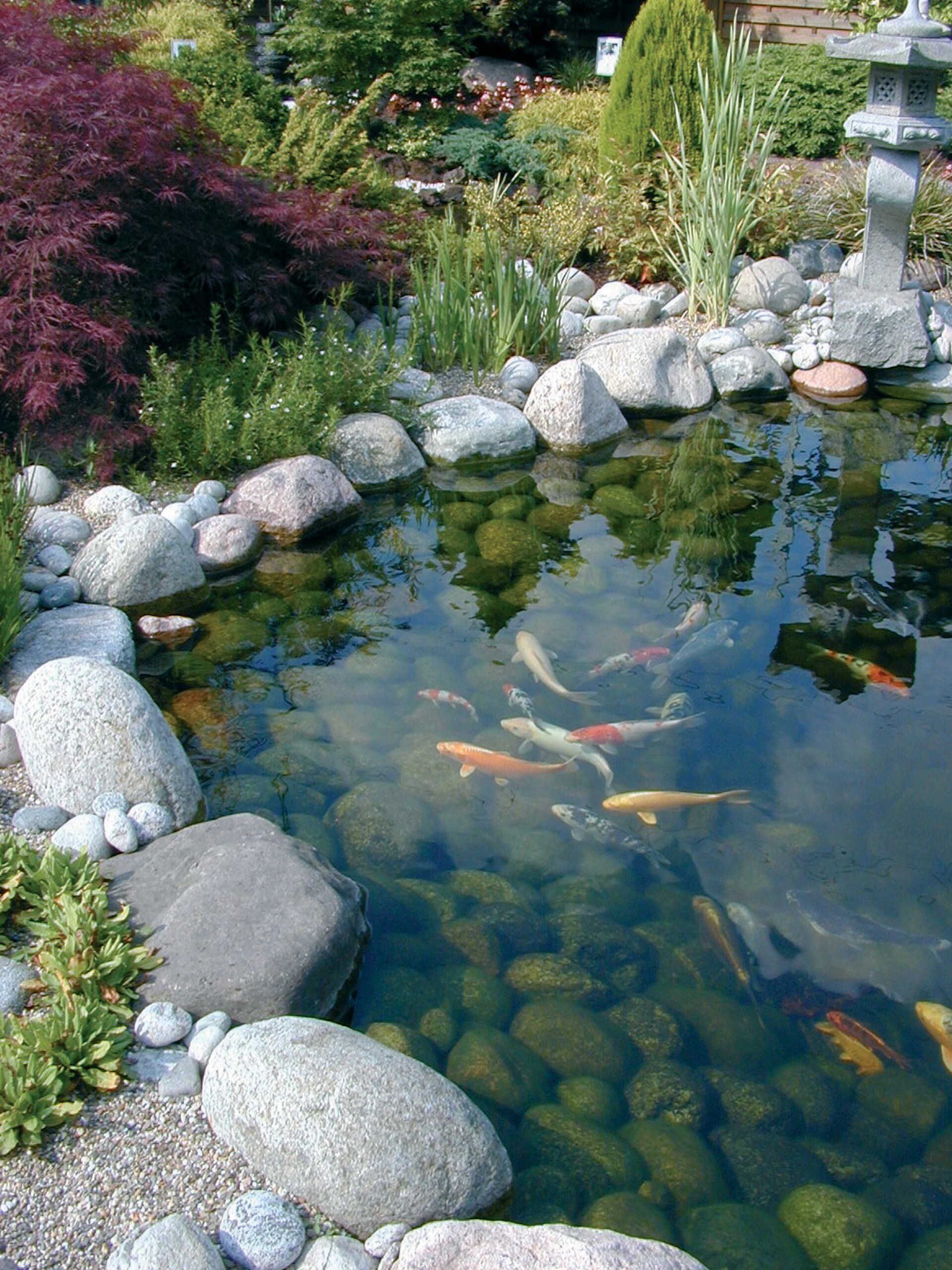 Ubbink FiltraClear 8000 PlusSet Teichfilterset - Bild 1