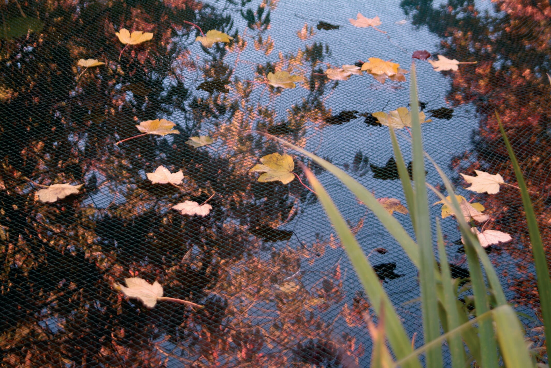 Ubbink PondNet Laubschutznetz 3 x 4 m - Bild 1