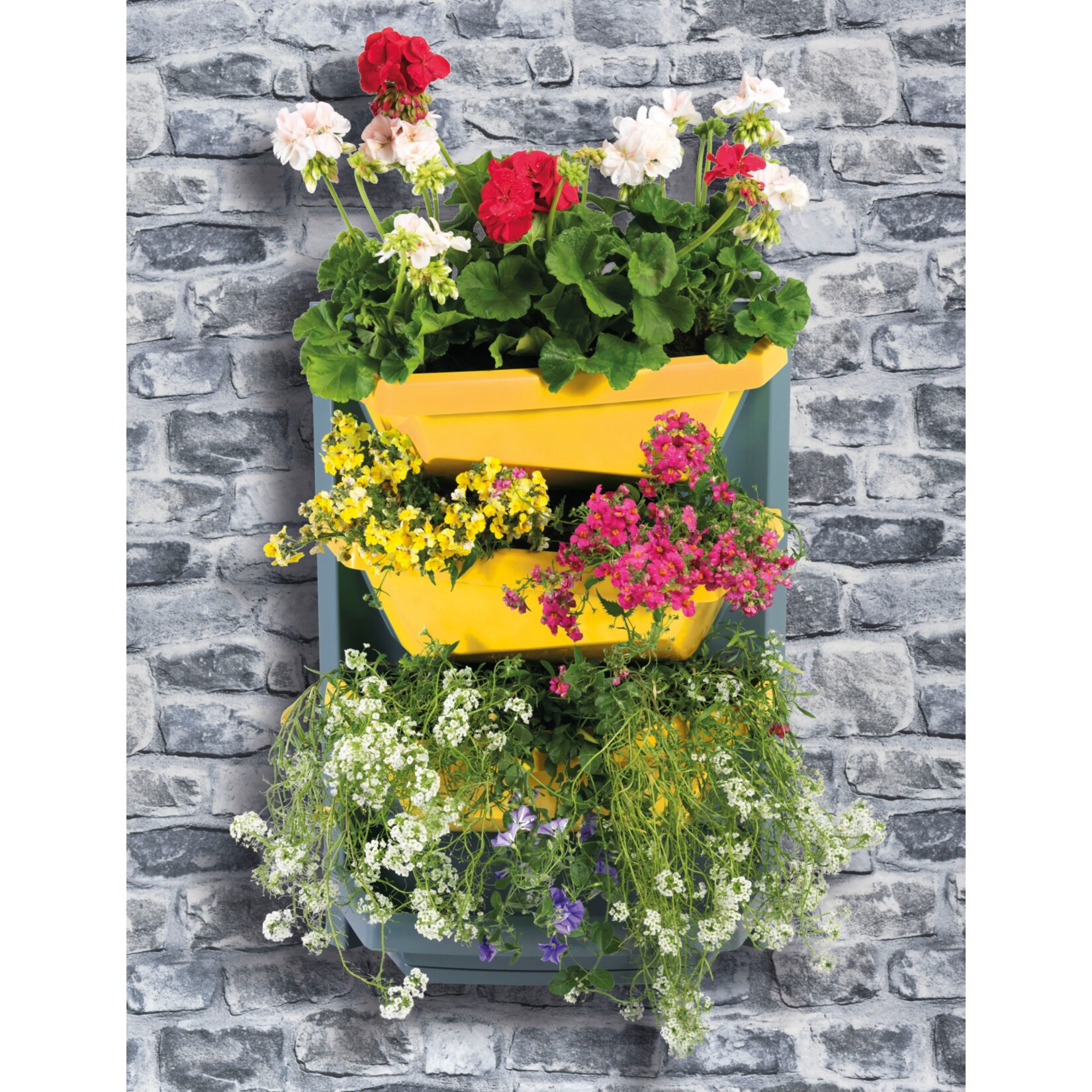 Juwel Vertical-Garden Grundelement safrangelb - Bild 1