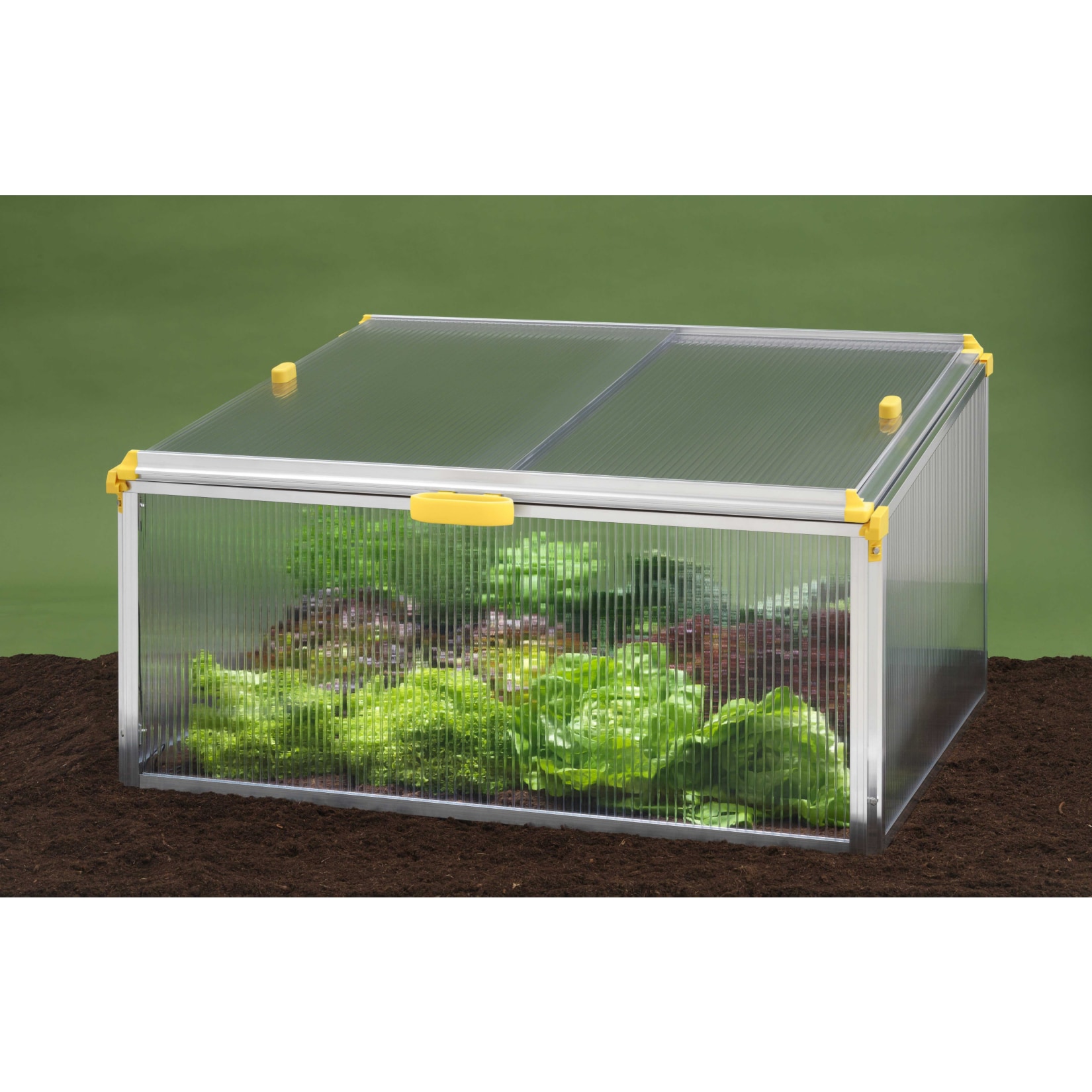 Juwel Fr&uuml;hbeet BIOSTAR PROTECT 1000 - Bild 1