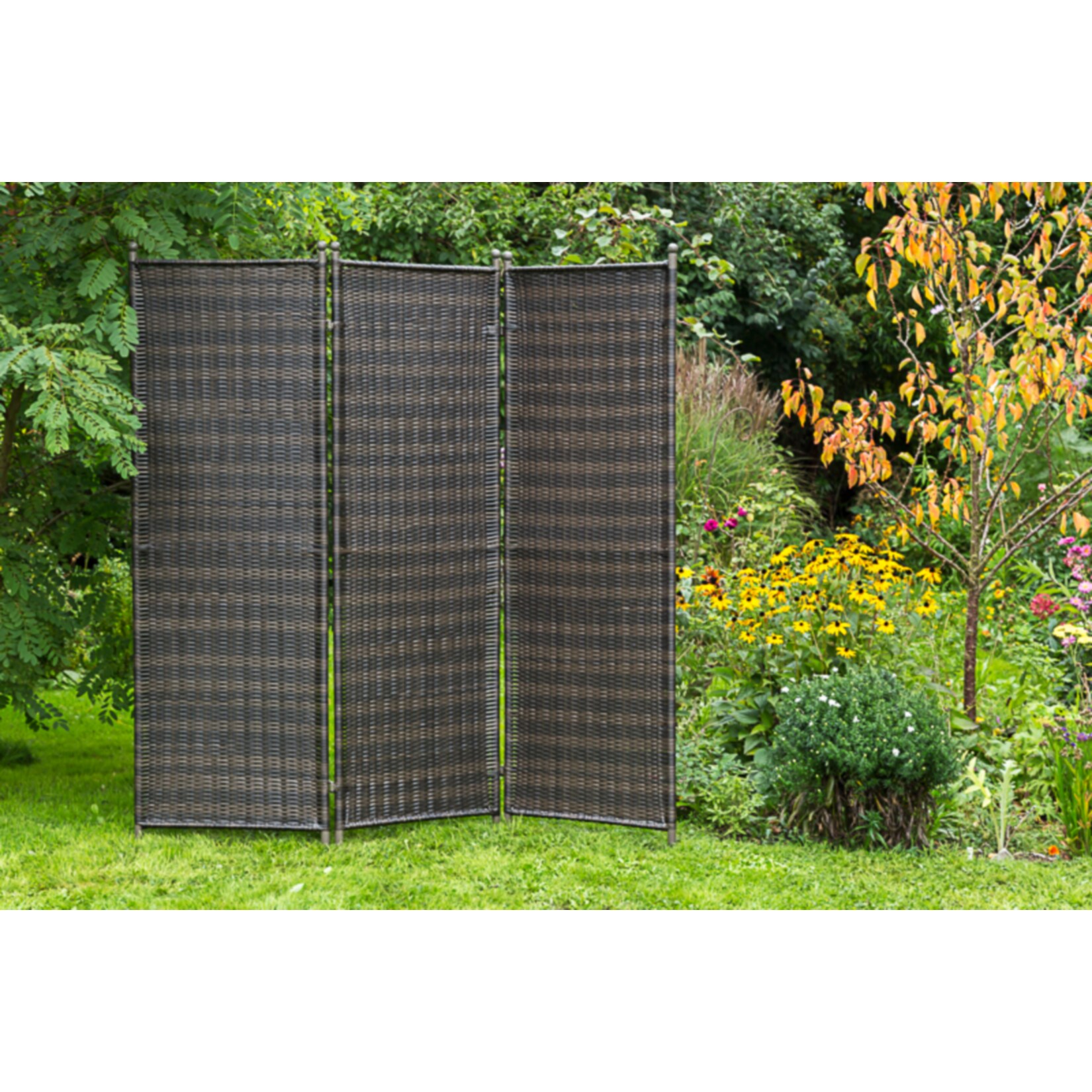 Merxx Paravent, braun - Bild 1