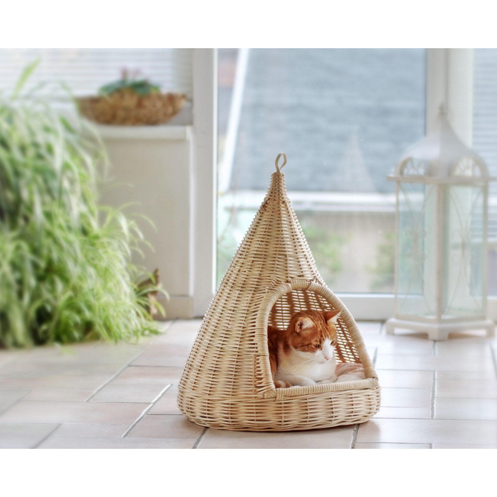 Silvio Design Sammy Katzen Hängekorb | 04260056099564