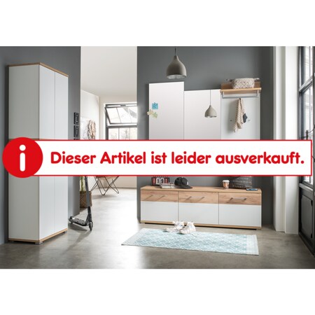 Germania Garderobenschrank bei 3774 Türen mit GW-TOPIX Netto Farben zwei online versch. kaufen
