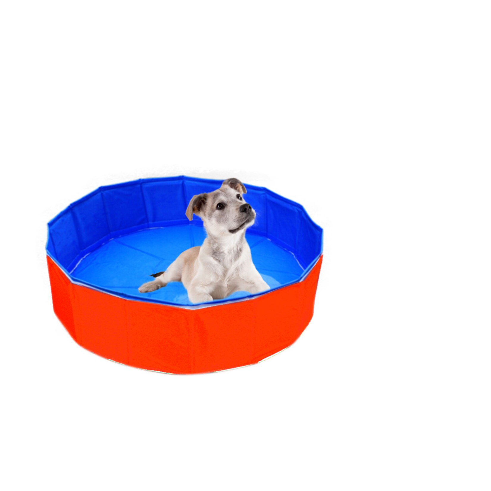 Heim Hunde Swimmingpool Outdoor-Dog &Oslash;  120 x 30 cm - Bild 1