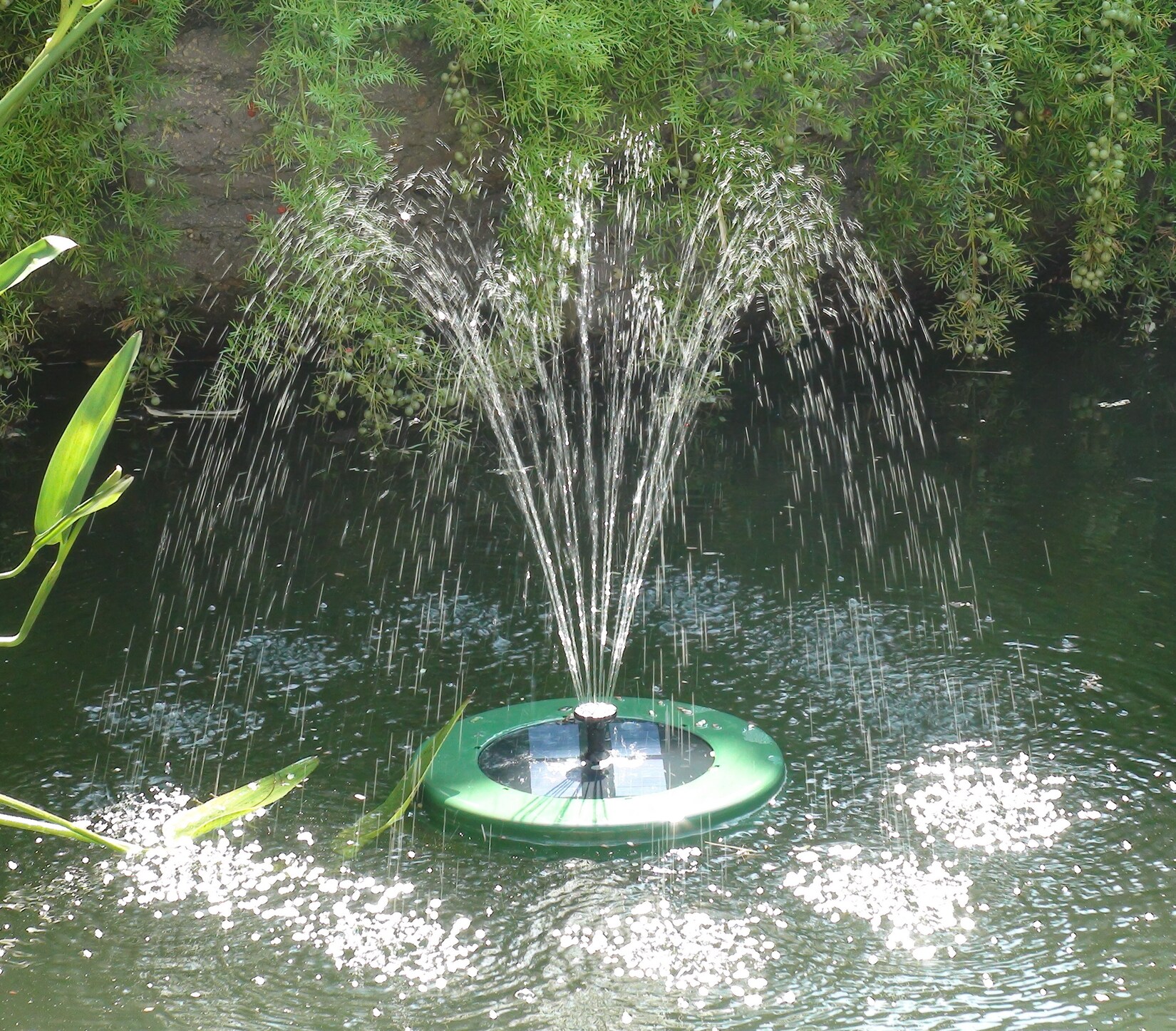 Mauk Solarspringbrunnenpumpe rund grün | 04043722014814