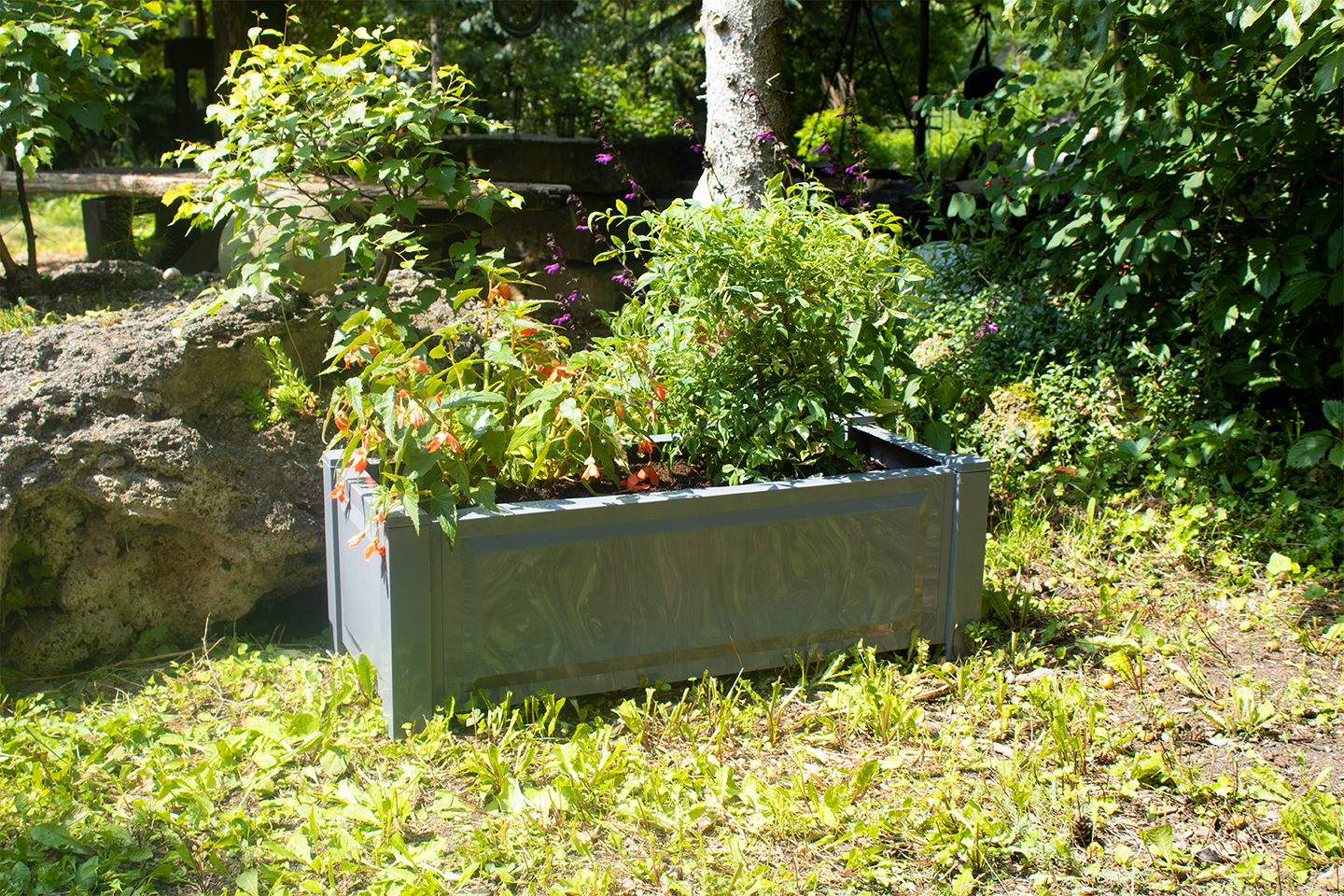 Pflanzkasten rechteckig, grau - Bild 1
