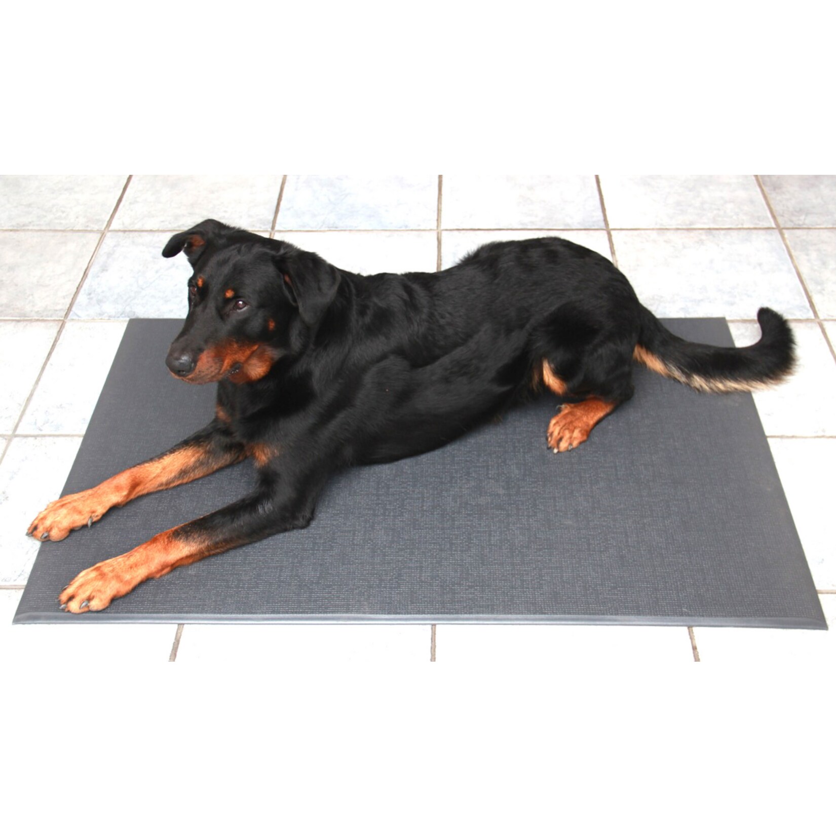 Hundematte, rutschfest | 04027941312760