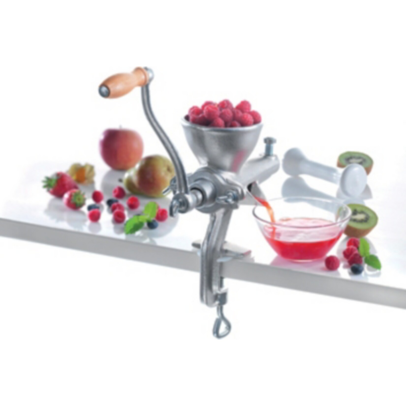 Beeren-Fruchtpresse | 04006776067465