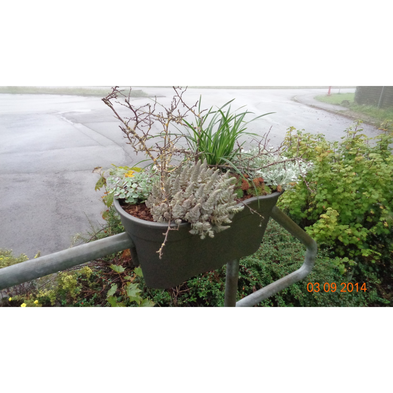 Blumenkasten Flowerclip XL - Bild 1