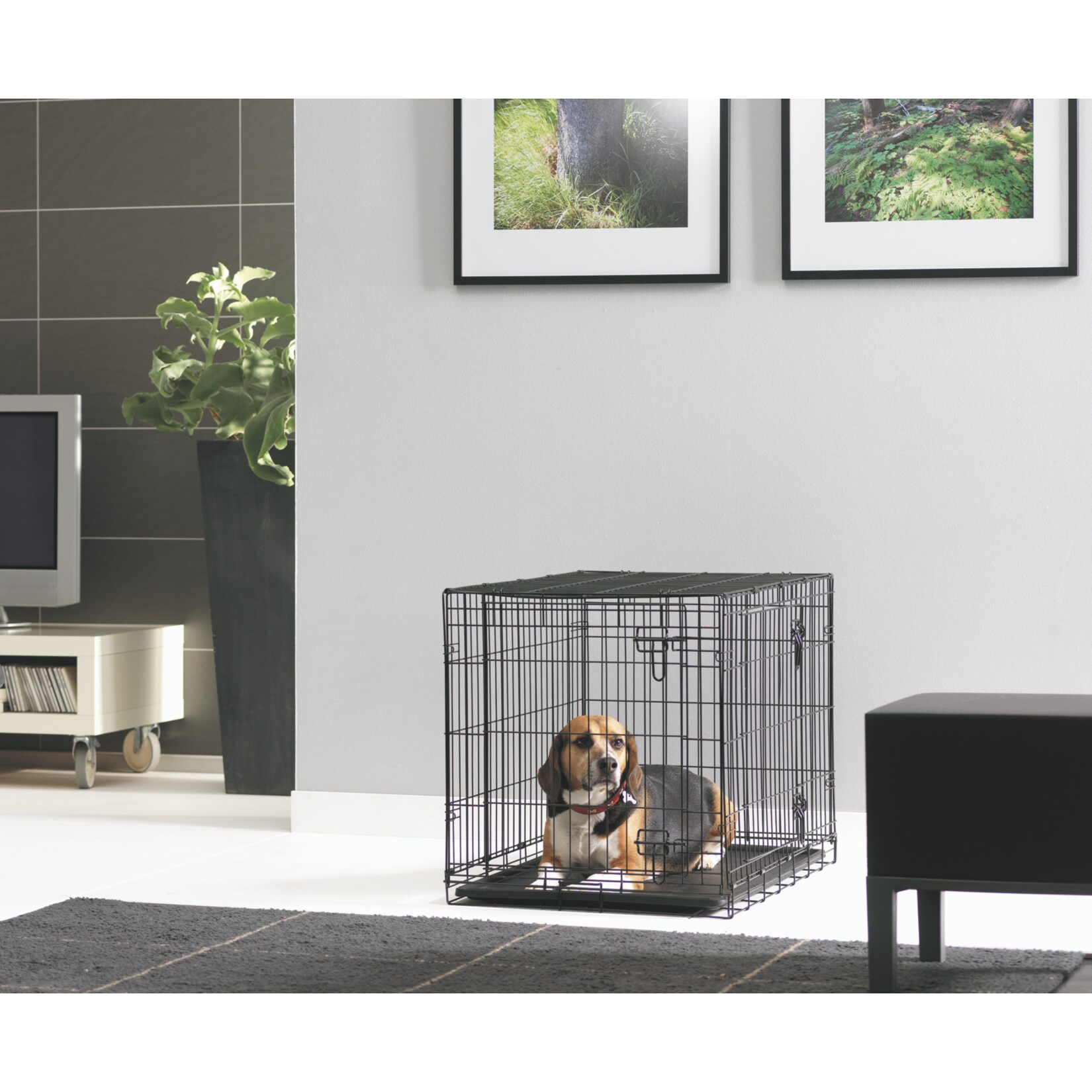 Dog Cottage - Bild 1