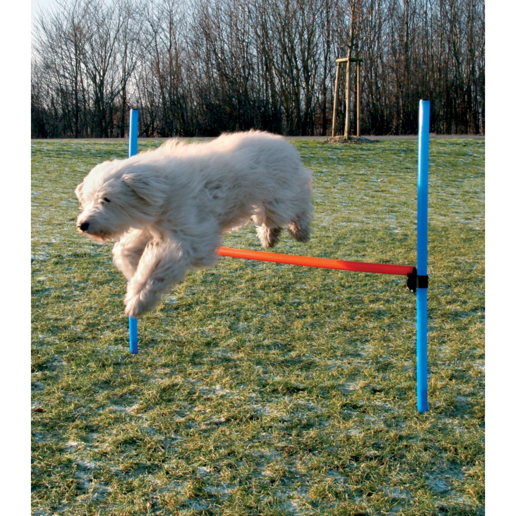 Dog – Agility – Hürde | 04027941431850