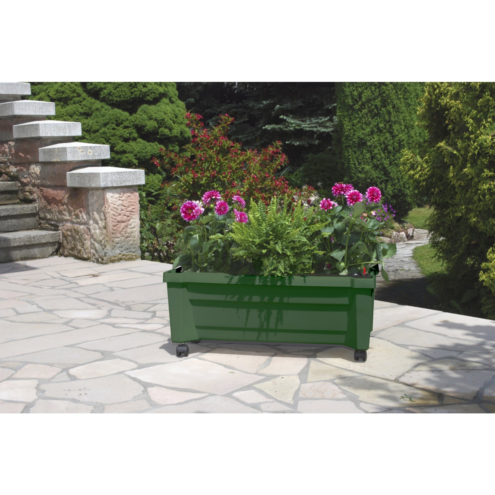 Pflanzkasten Calypso mit Bew&auml;sserungssystem und Rollen - Bild 1