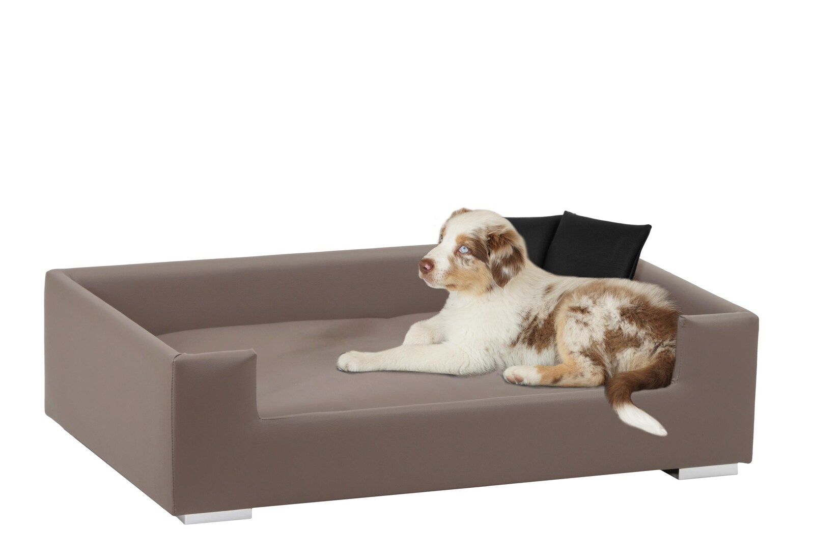 SILVIO DESIGN Hundesofa «Candy»   versch. Farben | 04260056106545