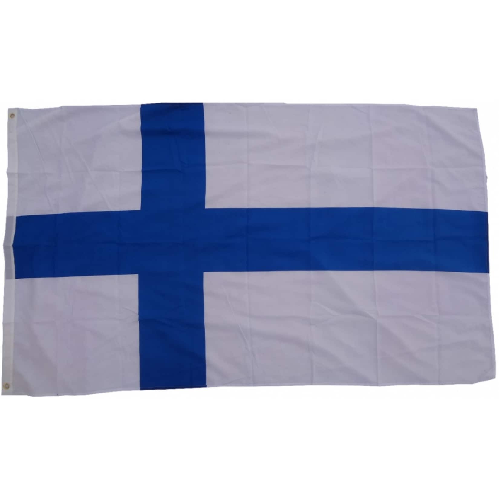 XXL Flagge Finnland 250 x 150 cm Fahne mit 3 &Ouml;sen 100g/m&sup2; Stoffgewicht - Bild 1