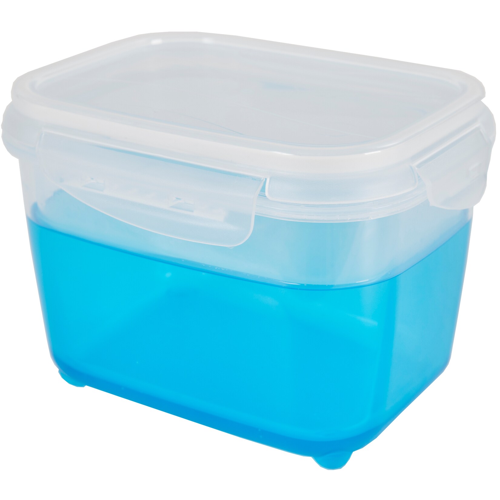 rotho ICE BOX 1,1 Liter - Bild 1