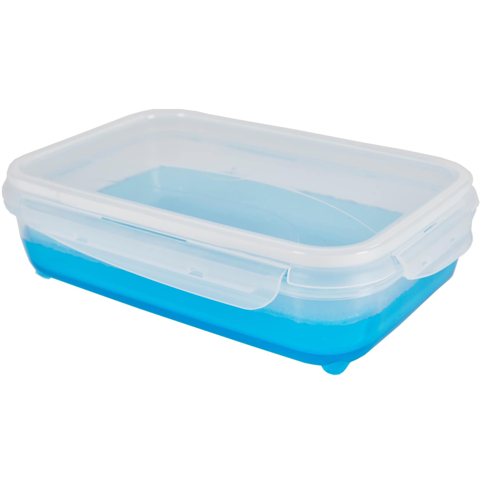 rotho ICE BOX 1,25 Liter - Bild 1