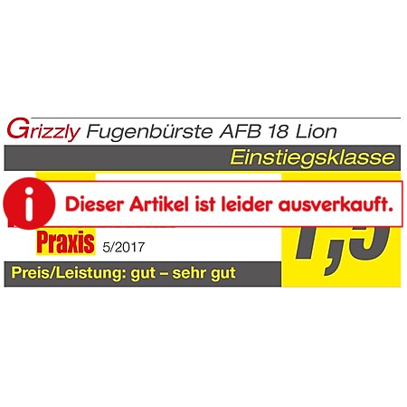 Grizzly Akku-Fugenbürste AFB 18 Lion Fugenreiniger Oberflächenreiniger 