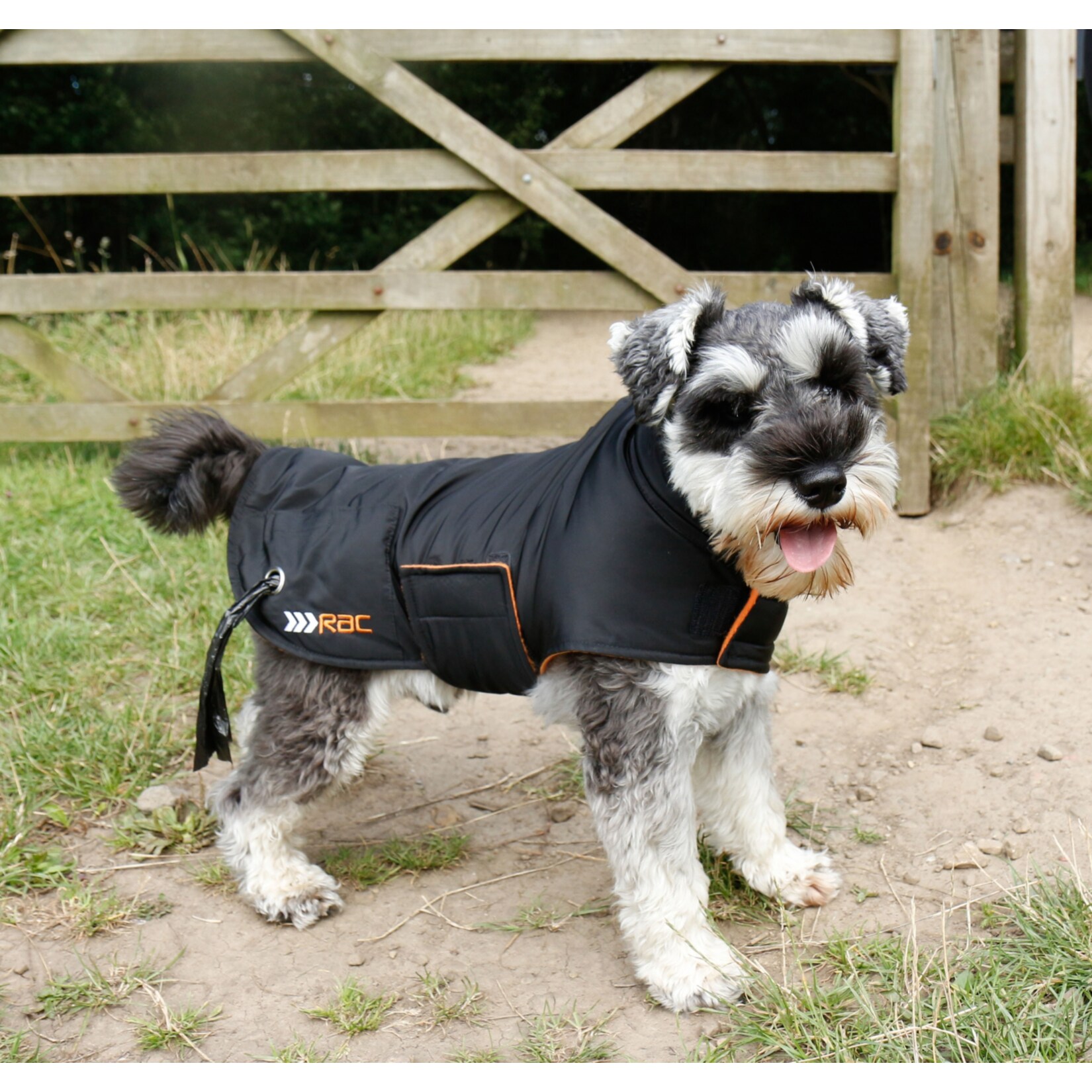 RAC - Hundemantel Gr&ouml;&szlig;e M - Bild 1