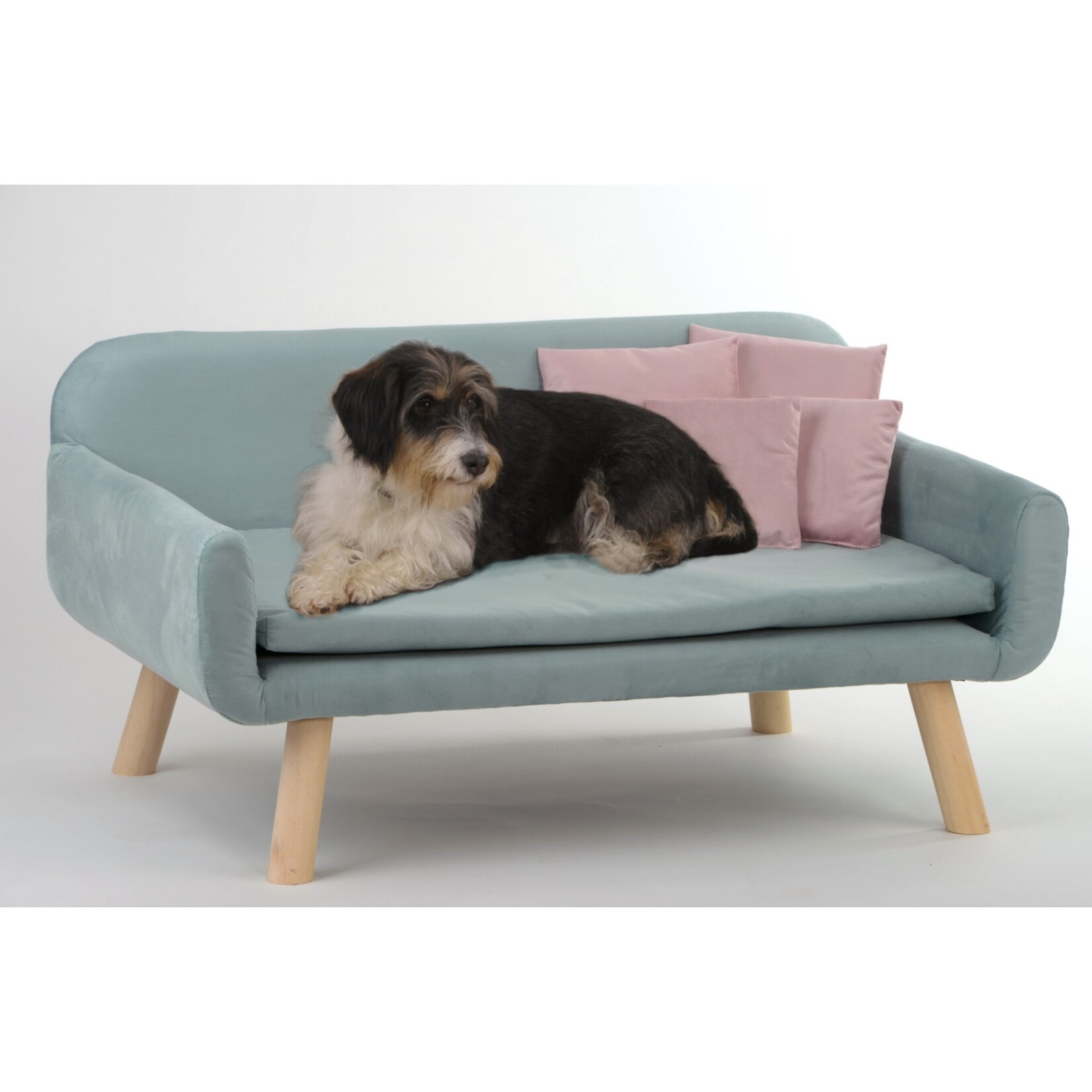 SILVIO DESIGN Hundesofa &raquo;Cora&laquo; | versch. Farben - Bild 1