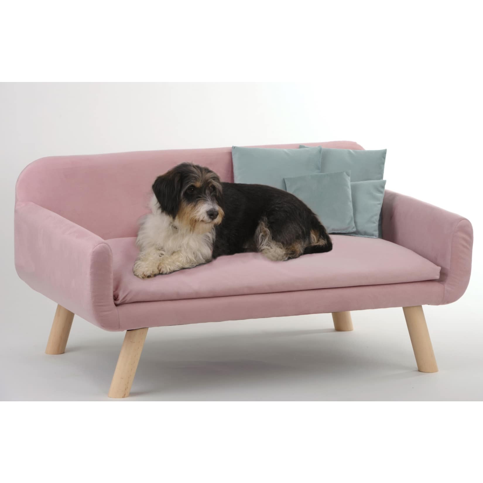 SILVIO DESIGN Hundesofa &raquo;Cora&laquo; | versch. Farben - Bild 1