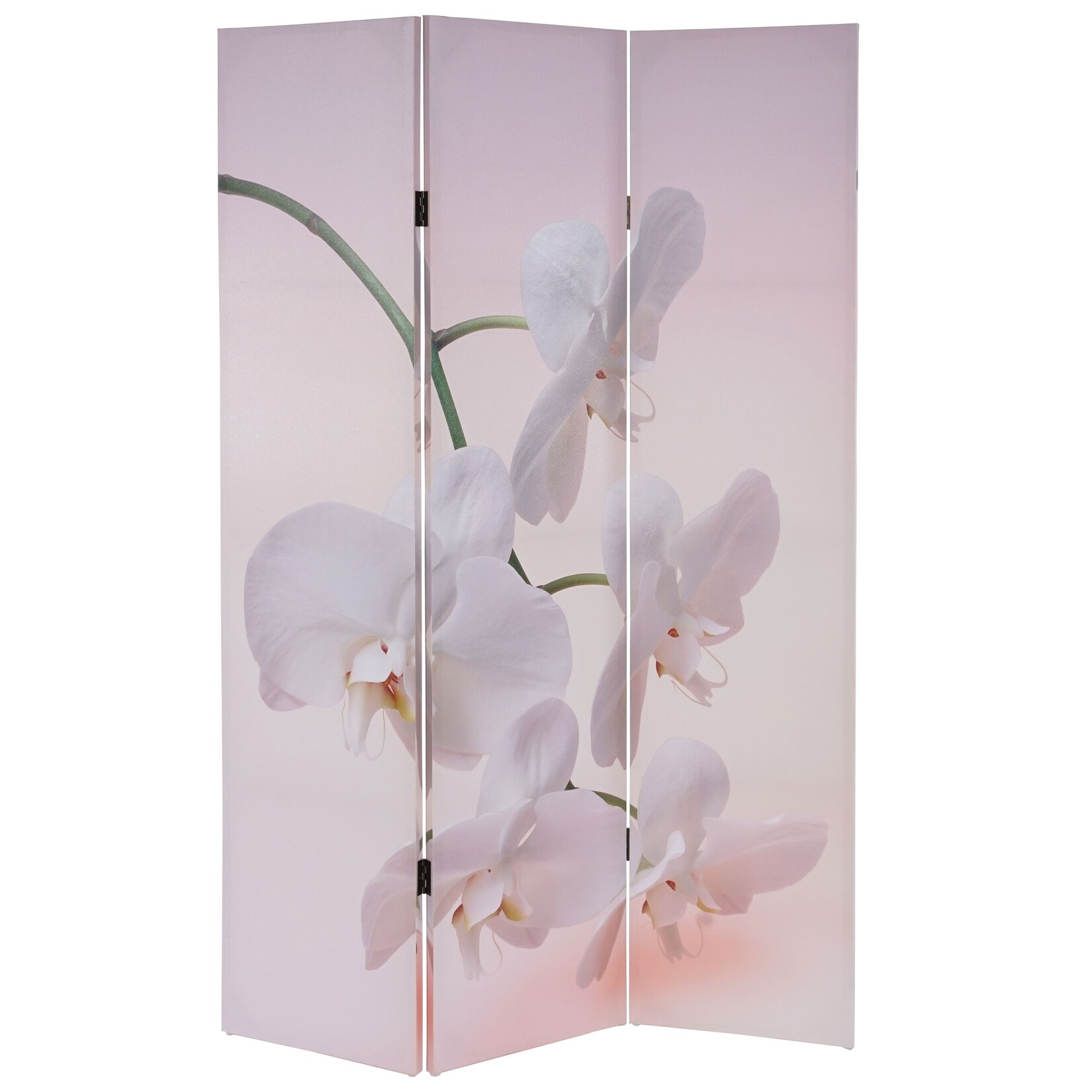 Foto-Paravent Bagheria, Paravent Raumteiler Spanische Wand 180x120cm MVG-zertifiziert ~ Orchidee