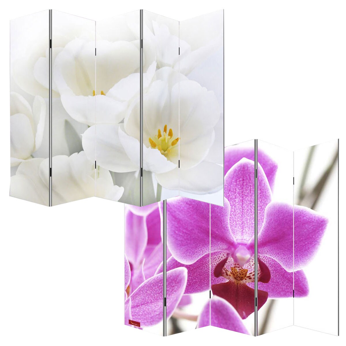 Foto-Paravent Paravent Raumteiler Spanische Wand Bagheria ~ 180x200cm, Orchidee