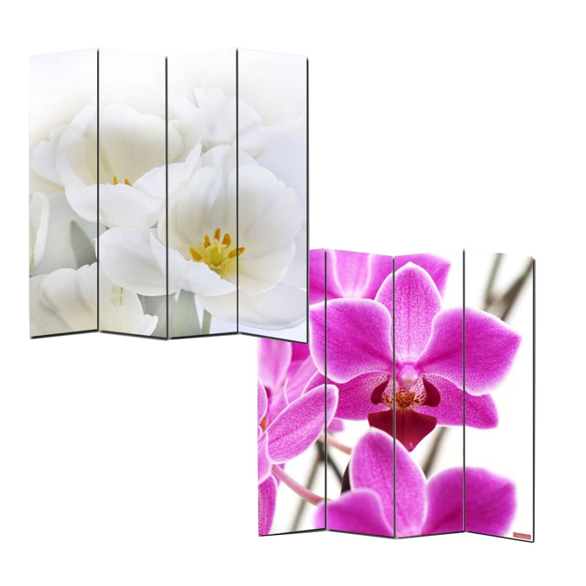 Foto-Paravent Paravent Raumteiler Spanische Wand Bagheria ~ 180x160cm, Orchidee - Bild 1