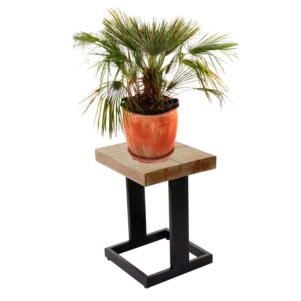 Blumenhocker MCW-A15, Blumenständer Pflanzentisch Holzhocker, Tanne Holz rustikal massiv MVG-zertifiziert 48x36x32cm | 04057651265391