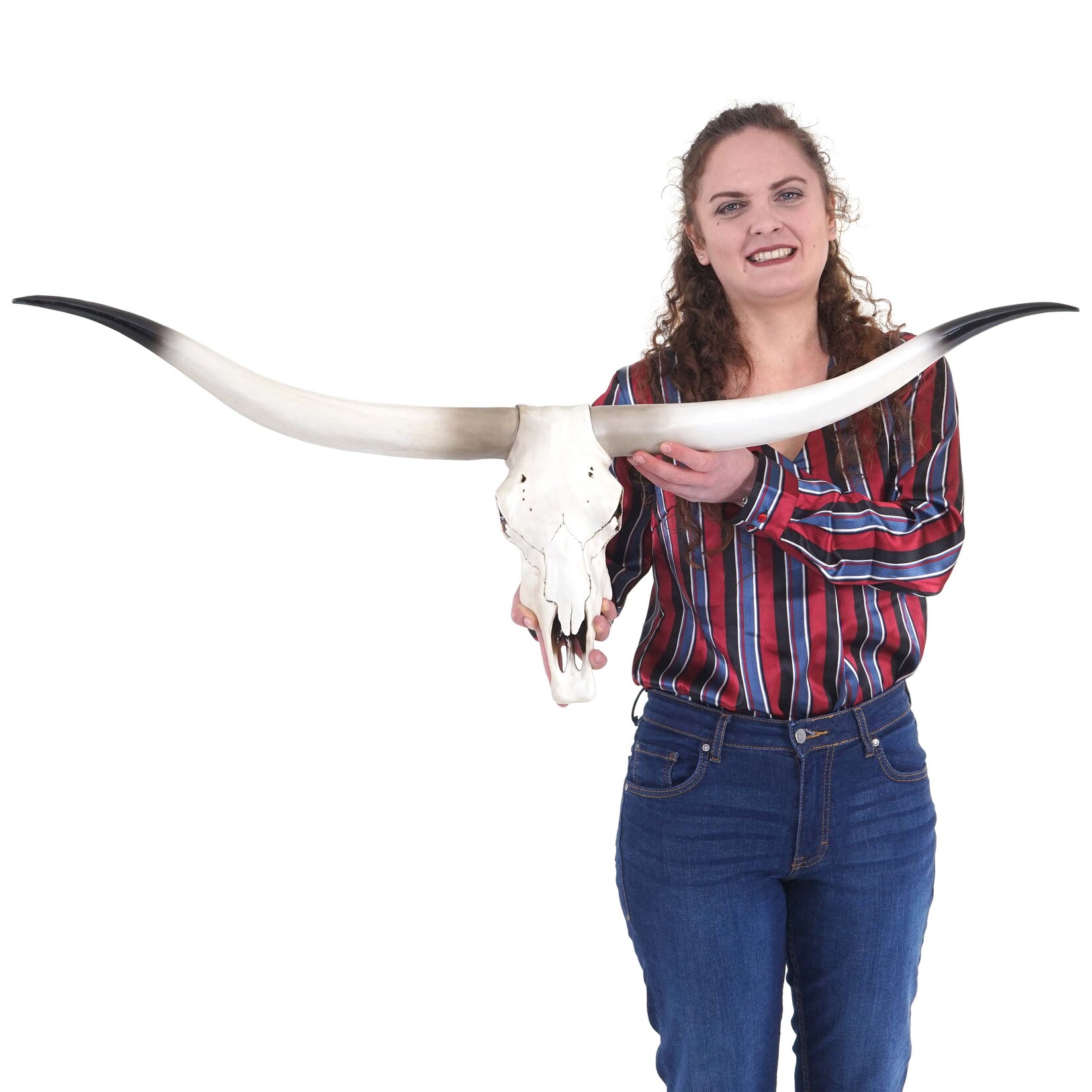 Deko Kuhschädel MCW-D32, Stierkopf Bulle Tierkopf Longhorn Trophäe, Polyresin 103x43x11cm