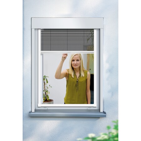 Schellenberg Insektenschutz-Fenster-Plissee, 140 x 150 cm online kaufen bei  Netto
