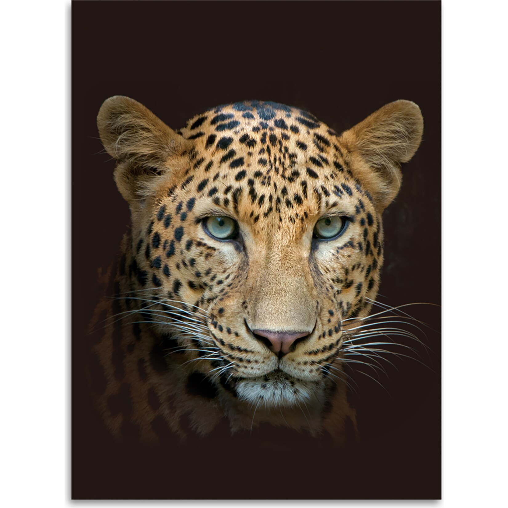 Kinzler Digitalbedruckte Wohndecke Leopard, 150 x 200 cm - Bild 1