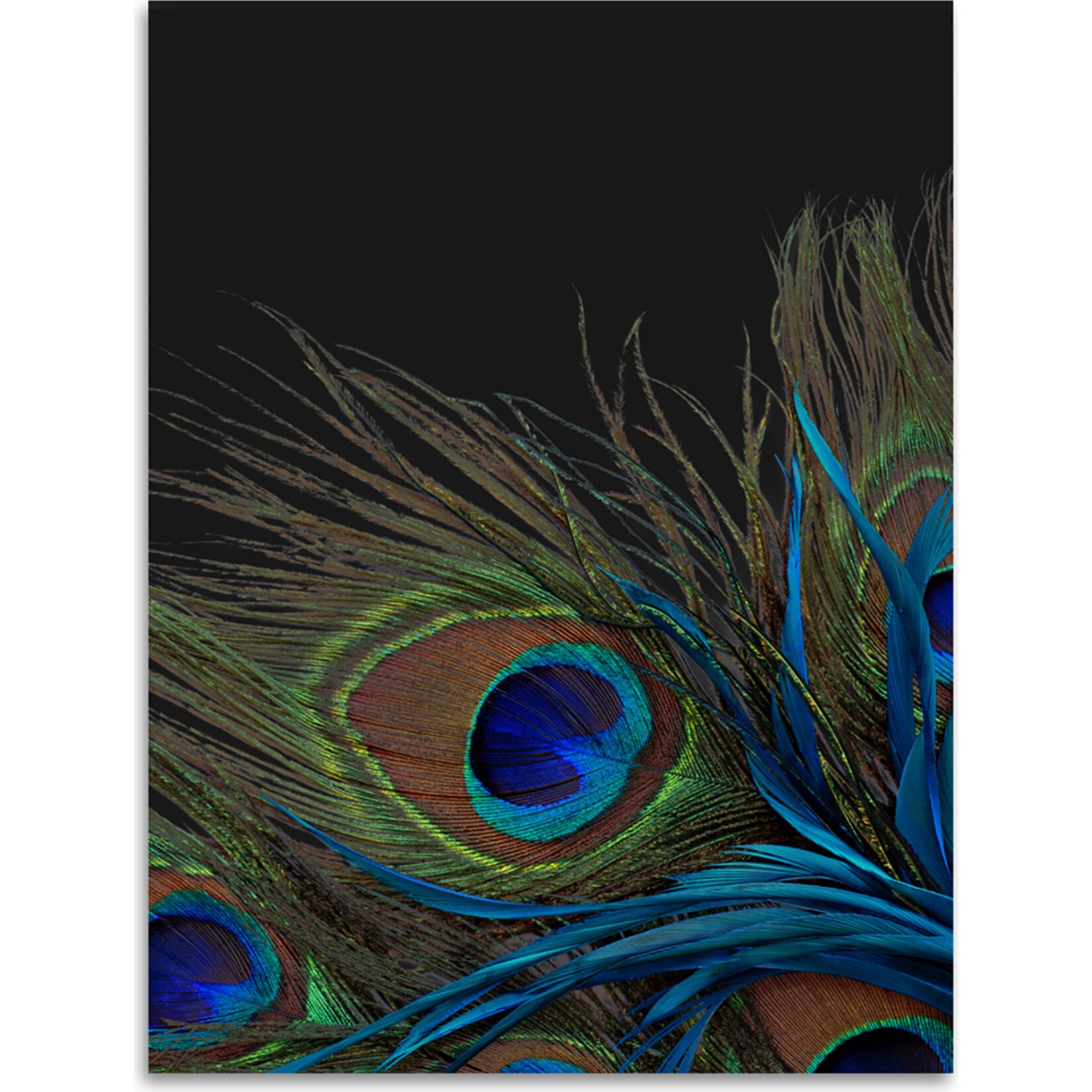 Kinzler Digitalbedruckte Wohndecke Pfau,  150 x 200 cm - Bild 1