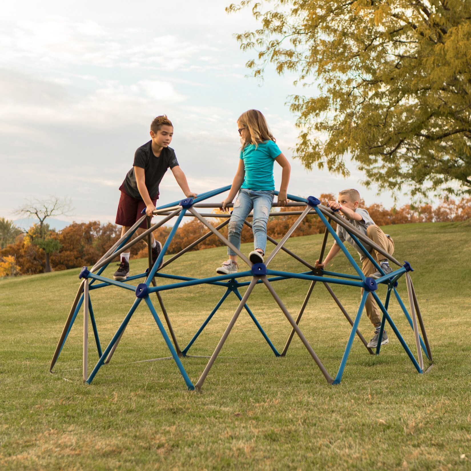 Lifetime Kletterger&uuml;st Geodome braun/blau - Bild 1