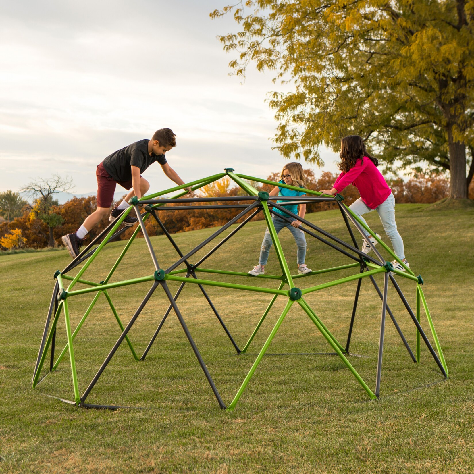 Lifetime Klettergerüst Geodome grün/bronze | 00081483822952