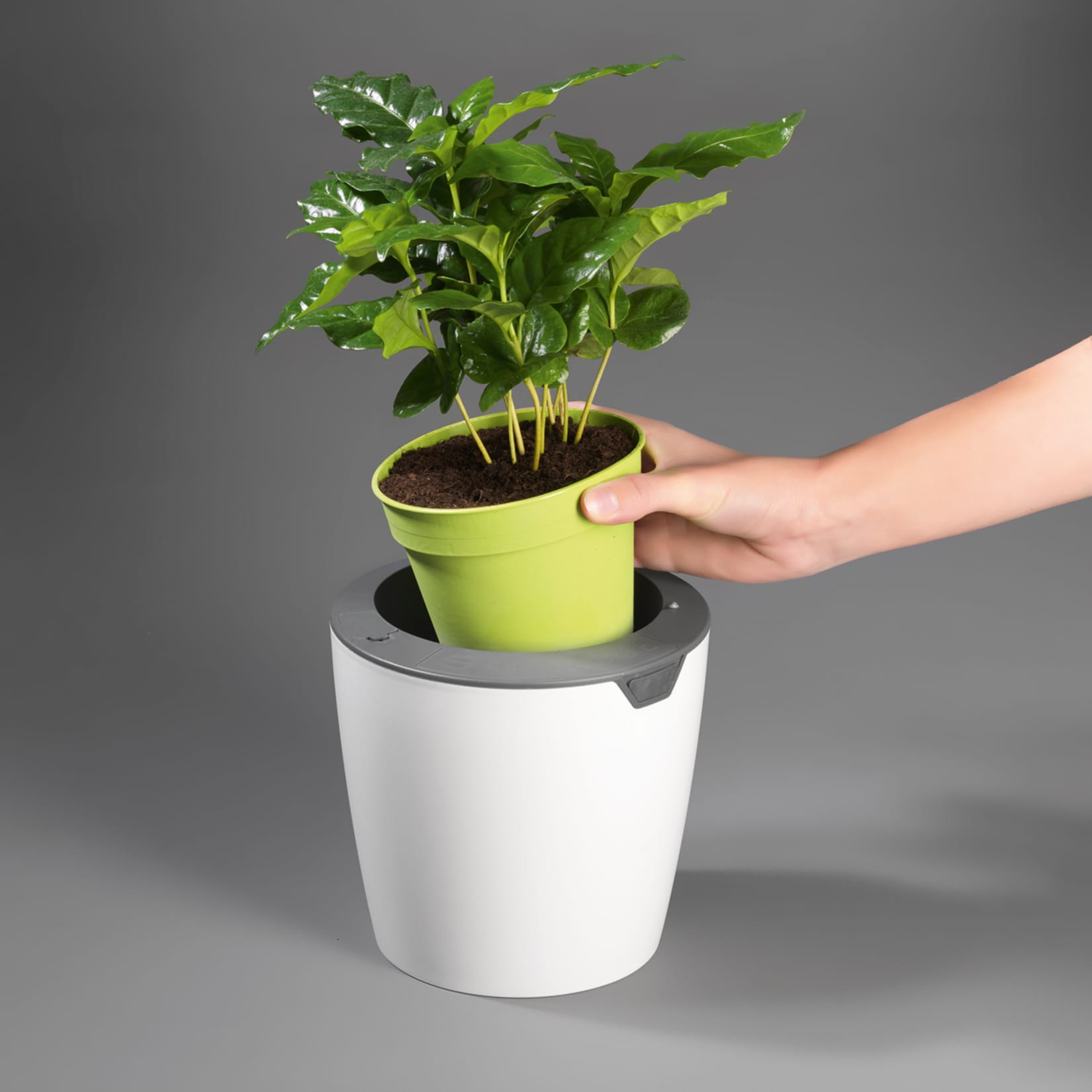 LazyLeaf Blumentopf selbstgieend 1,1l 17cm wei/grau Micro-USB 1200mAh
