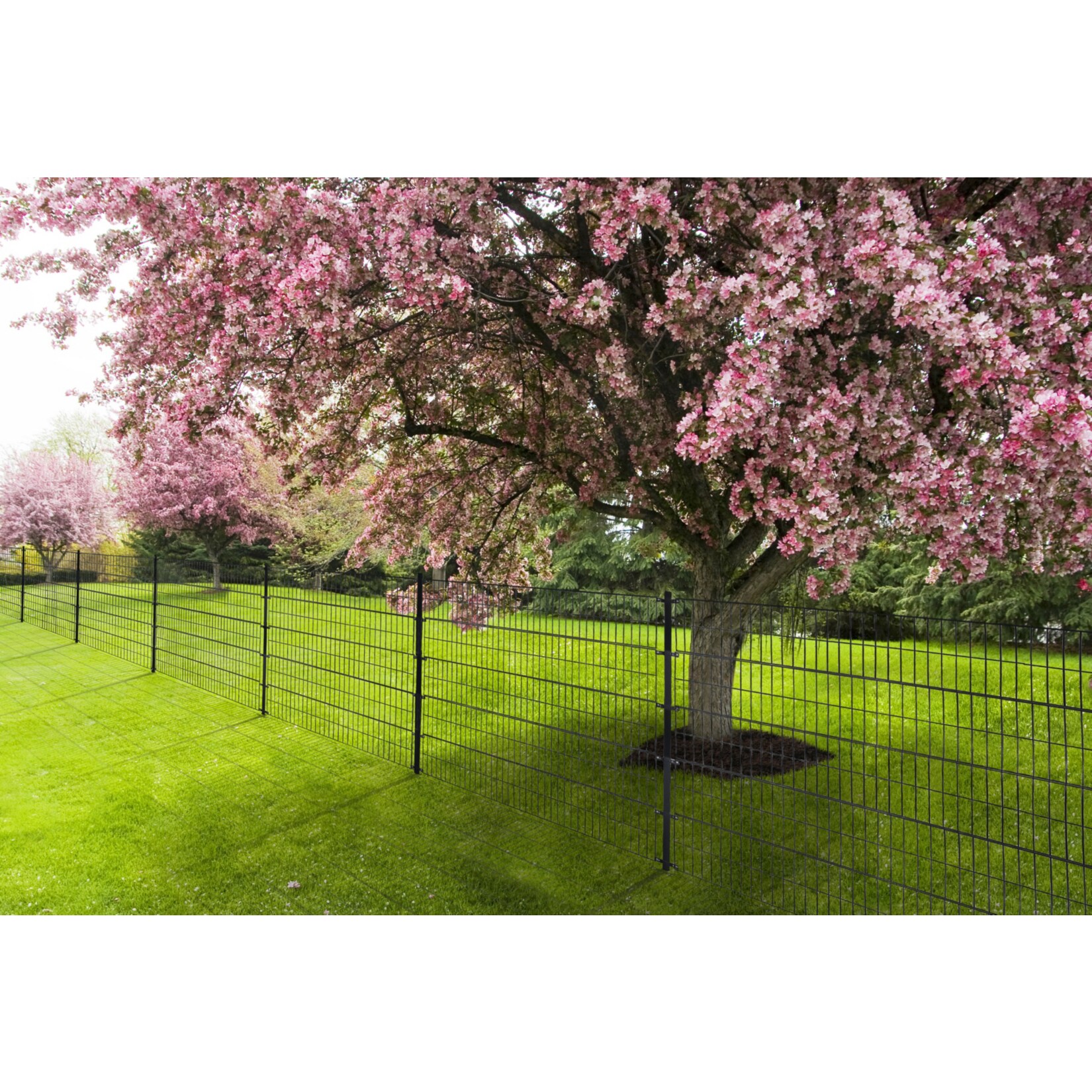 Doppelstabmattenzaun MORATA - Gr&uuml;n Variantenauswahl - Bild 1