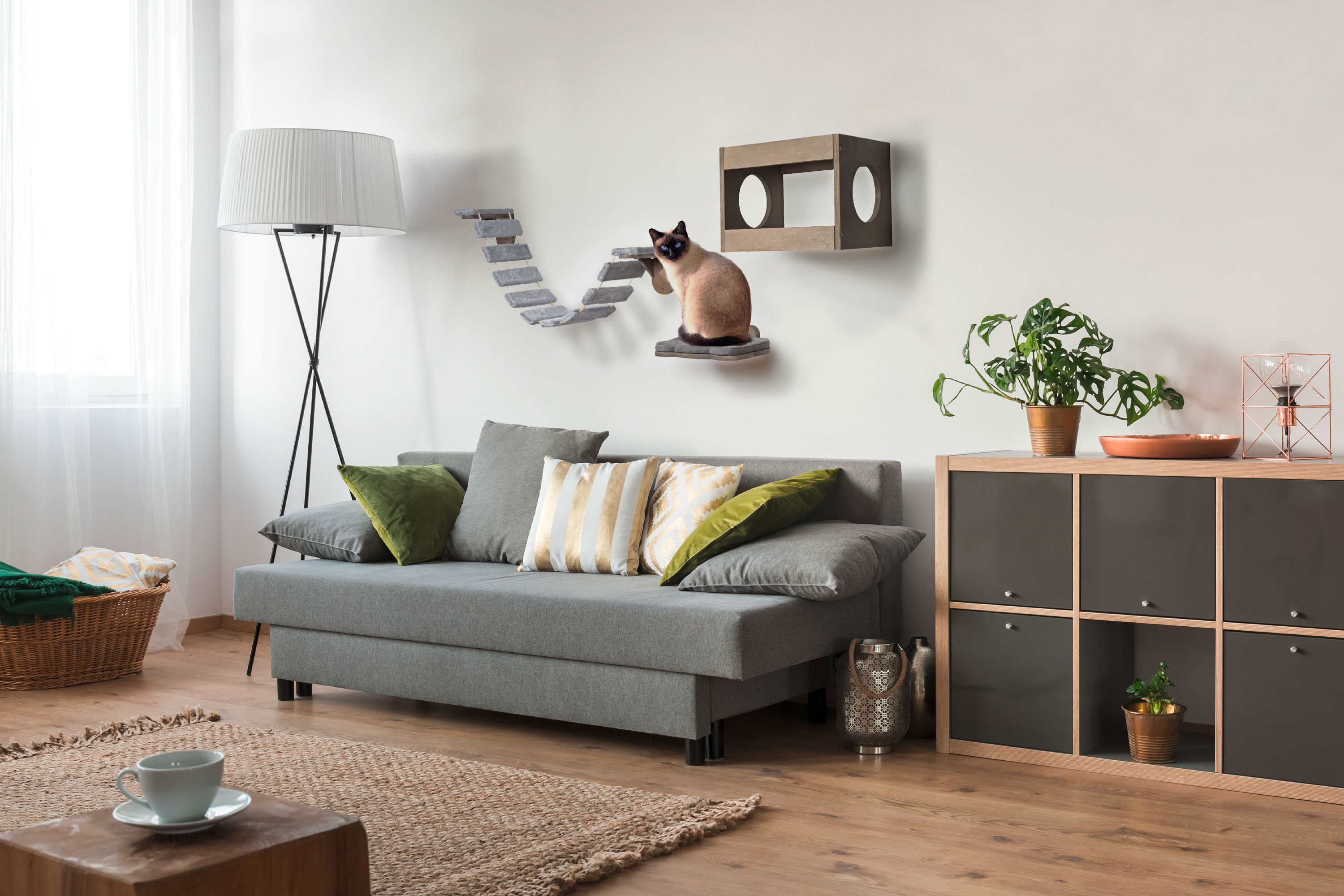 Katzenm&ouml;bel-Set mit Leiter, H&ouml;hle und Liegefl&auml;che - Bild 1