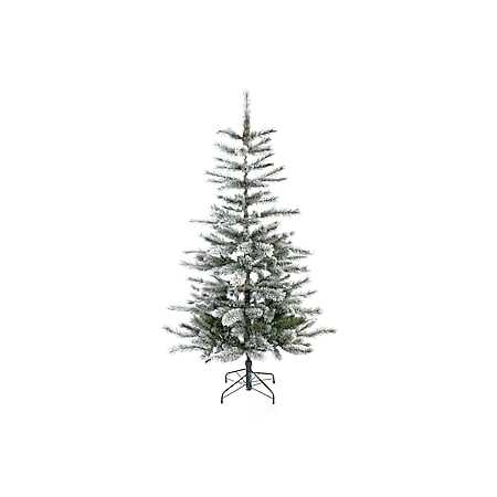 Evergreen Weihnachtsbaum Cedar Kiefer Frost 150 cm - Bild 1