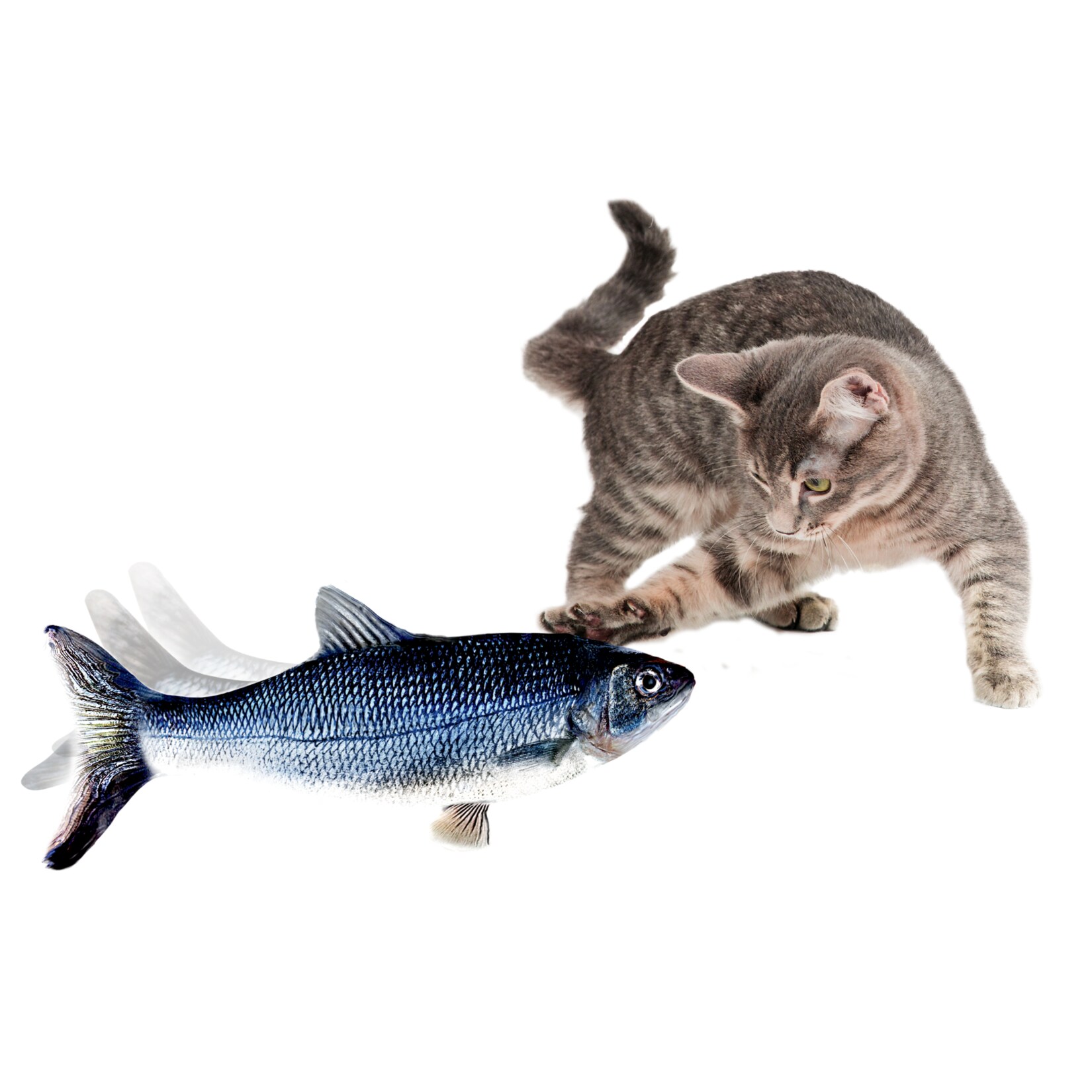 Livington Flippity Fish - Bild 1