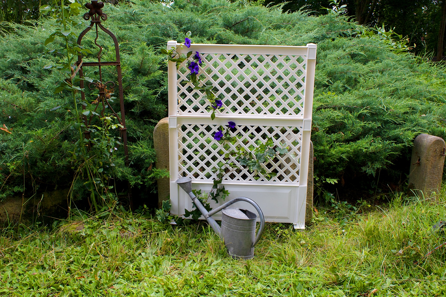 Spalier 100 cm mit Erdspie&szlig;, wei&szlig; - Bild 1