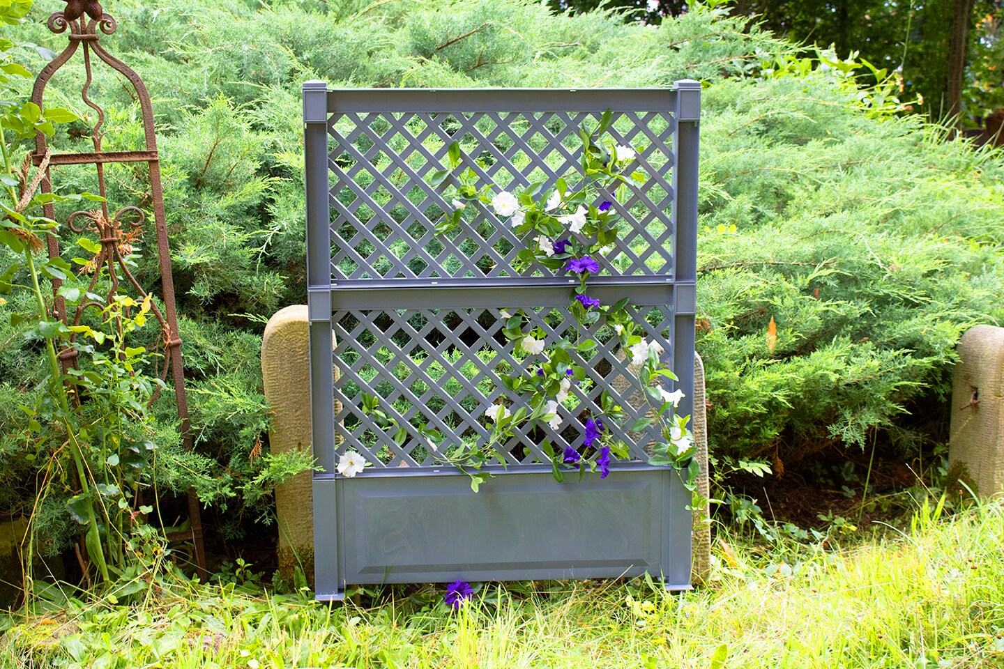 Spalier 100 cm mit Erdspie&szlig;, grau - Bild 1