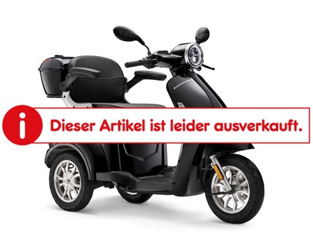 Teutoburg E-Dreirad Detmold 20 km/h kaufen | Netto Farben versch. online bei