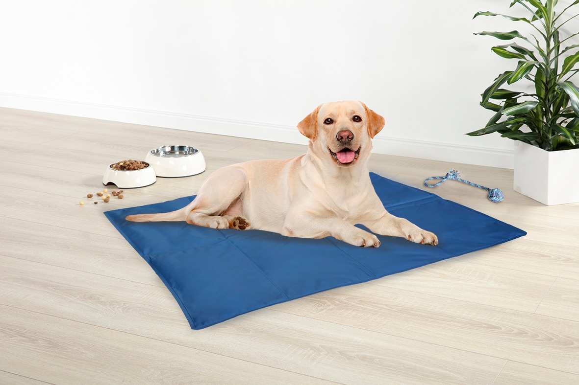 Haustierk&uuml;hlmatte ca. 70x100 cm - Bild 1