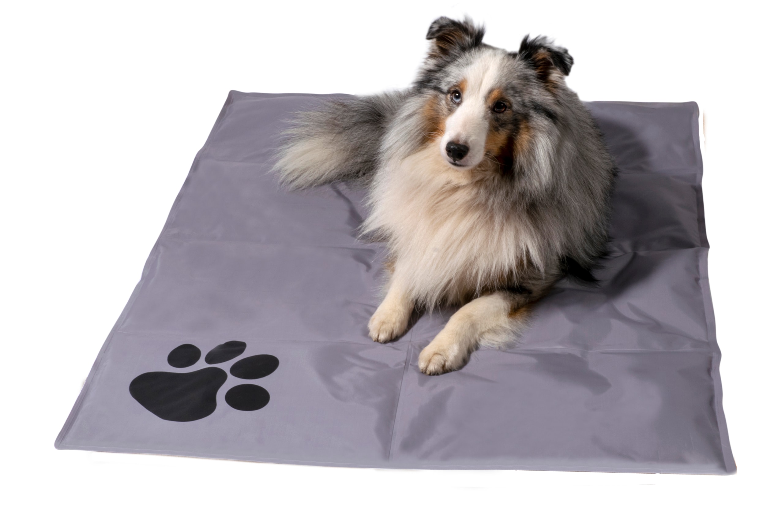 Gro&szlig;e K&uuml;hlmatte f&uuml;r Hunde, selbstk&uuml;hlende Haustiermatte mit Pfotenmuster | versch. Farben - Bild 1