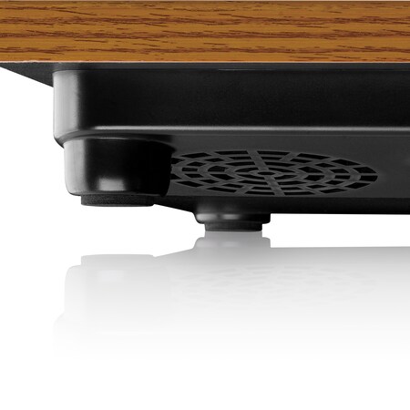 Lenco LS-10WD - eingebaute bei Plattenspieler Holz mit und online Holzgehäuse Riemenantrieb - Kopfhöreranschluß - kaufen Lautsprecher Netto 