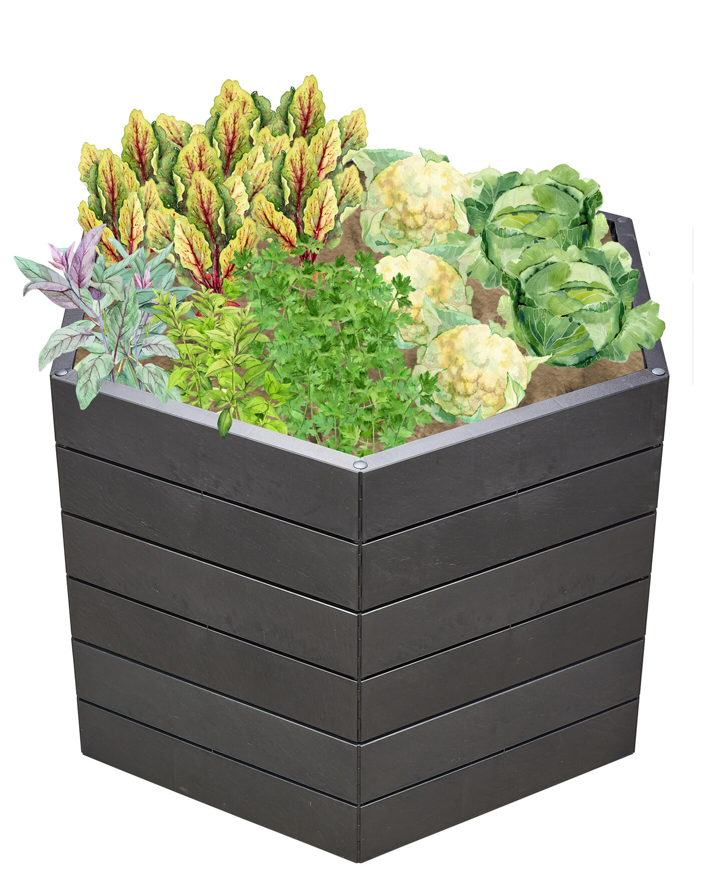 GARANTIA ERGO Hochbeet Stony L 75 - Bild 1