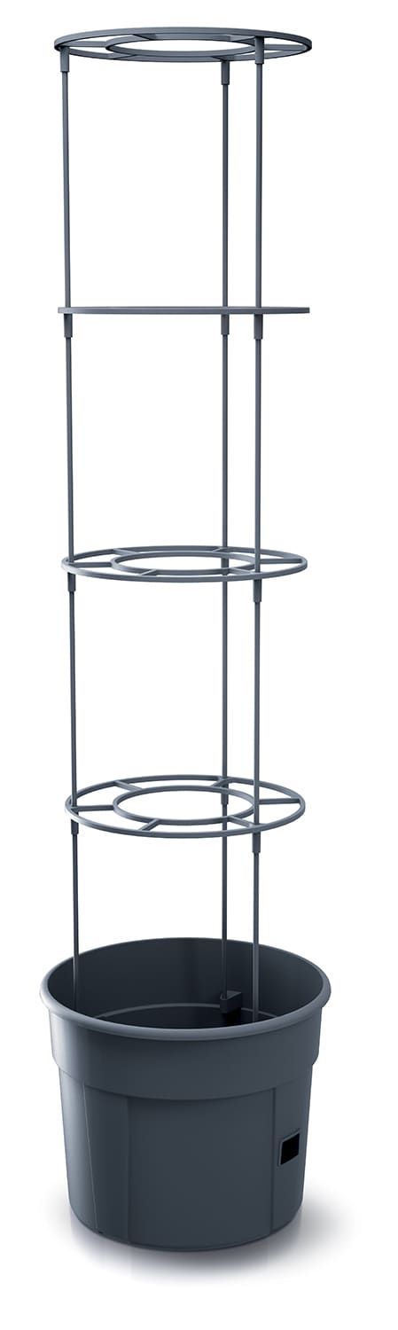 Living & Garden  Tomatenturm - Bild 1